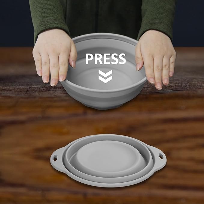 Silicone Collapsible Bowl