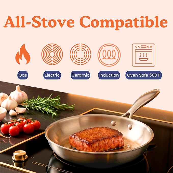 Ziruma Non-Toxic 9.5" Surgical Grade Stainless Steel Frying Pan, Fully Clad for Fast & Even Heat, PFOA-Free, Induction Compatible, Oven Safe to 500ยฐF