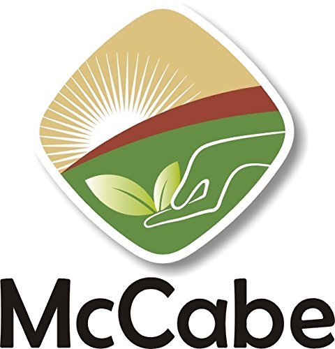 McCabe Organic Rice Flour - White Rice Flour | Rich with Fiber & Minerals | USDA and CCOF Certified | Product of USA | 1Lbs Pack of 2