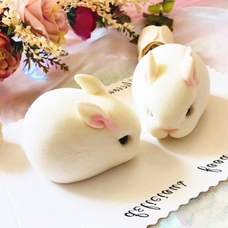 OCPO KITCHEN 3D Easter Bunny Silicone Mold for Baking Rabbit Shape Mousse Cake, French Dessert, Chocolate, Pastry, Pudding, Jelly, Cake Decoration Mold, Rabbit Shape (6 Cavity)