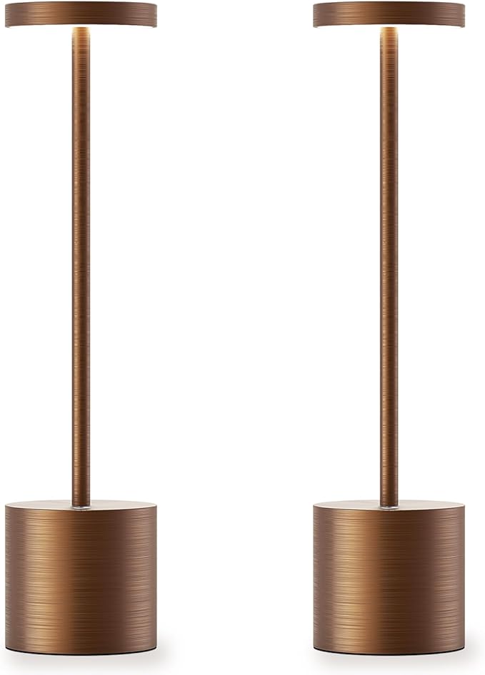 Cordless Table Lamp, 3-Levels Light Stepless Dimming Brightness Rechargeable 6000 mAh Battery Cordless LED 13.5 inches Lamps Top Slim Luxury Dinner Lamp (2X Brushed Titanium)