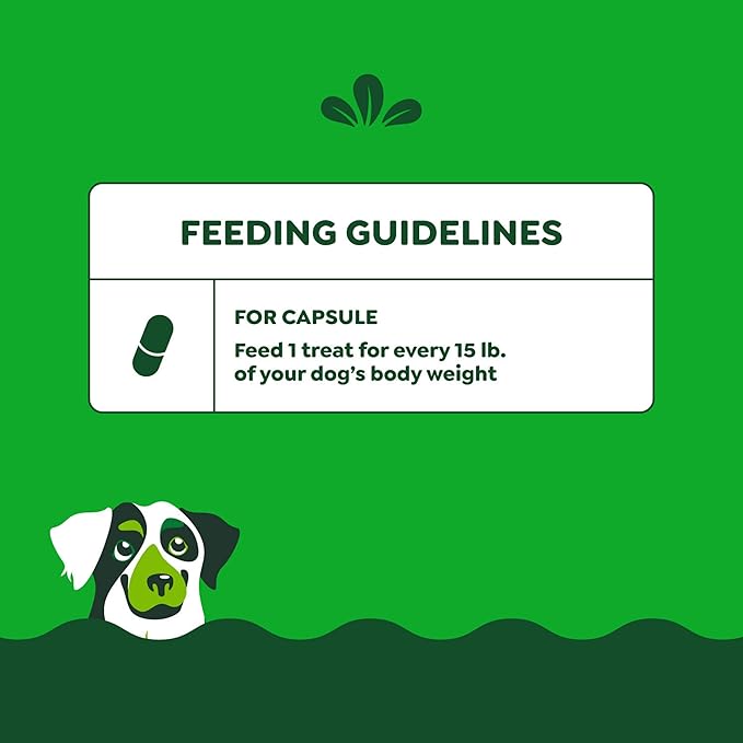 Greenies Pill Pockets for Dogs Large Size, Soft Dog Treats, 15.8 oz. Pouch Variety Pack, Two Flavors (60 Treats)