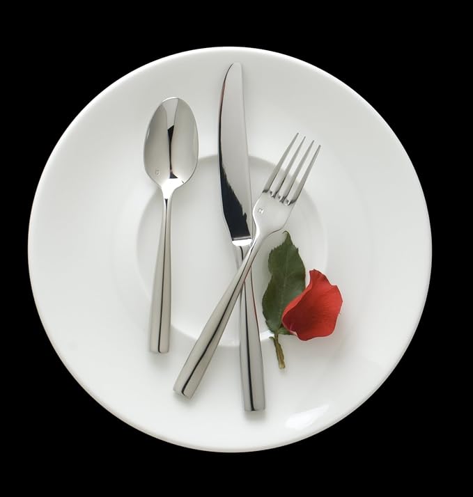 Fortessa Lucca 18/10 Stainless Steel Flatware Tea/Coffee Spoon, Set of 12