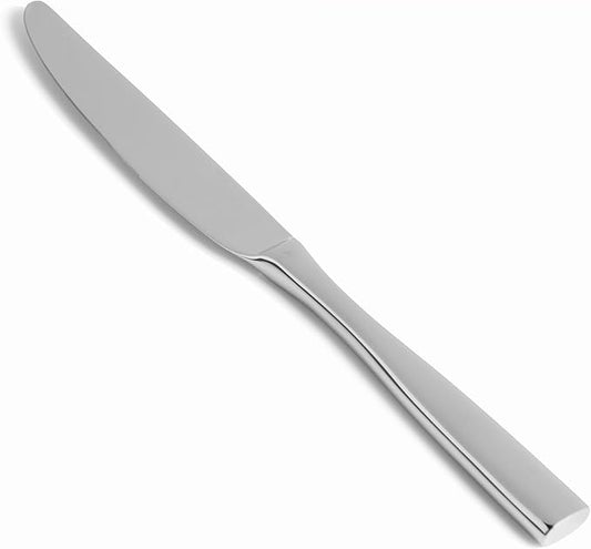Fortessa Lucca 18/10 Stainless Steel Flatware Solid Handle Table Knife, Set of 12, Silver