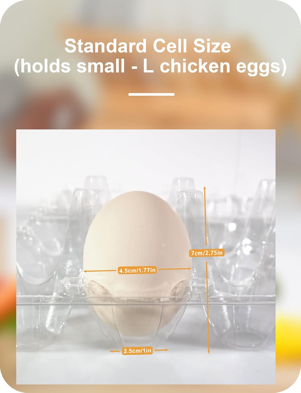 50 Pack Egg Cartons Cheap Bulk 12 Count - Holds 1 Dozen Clear Blank Egg Cartons for Chicken Eggs - Clear Empty Chicken Egg Carton for Fresh Medium Eggs