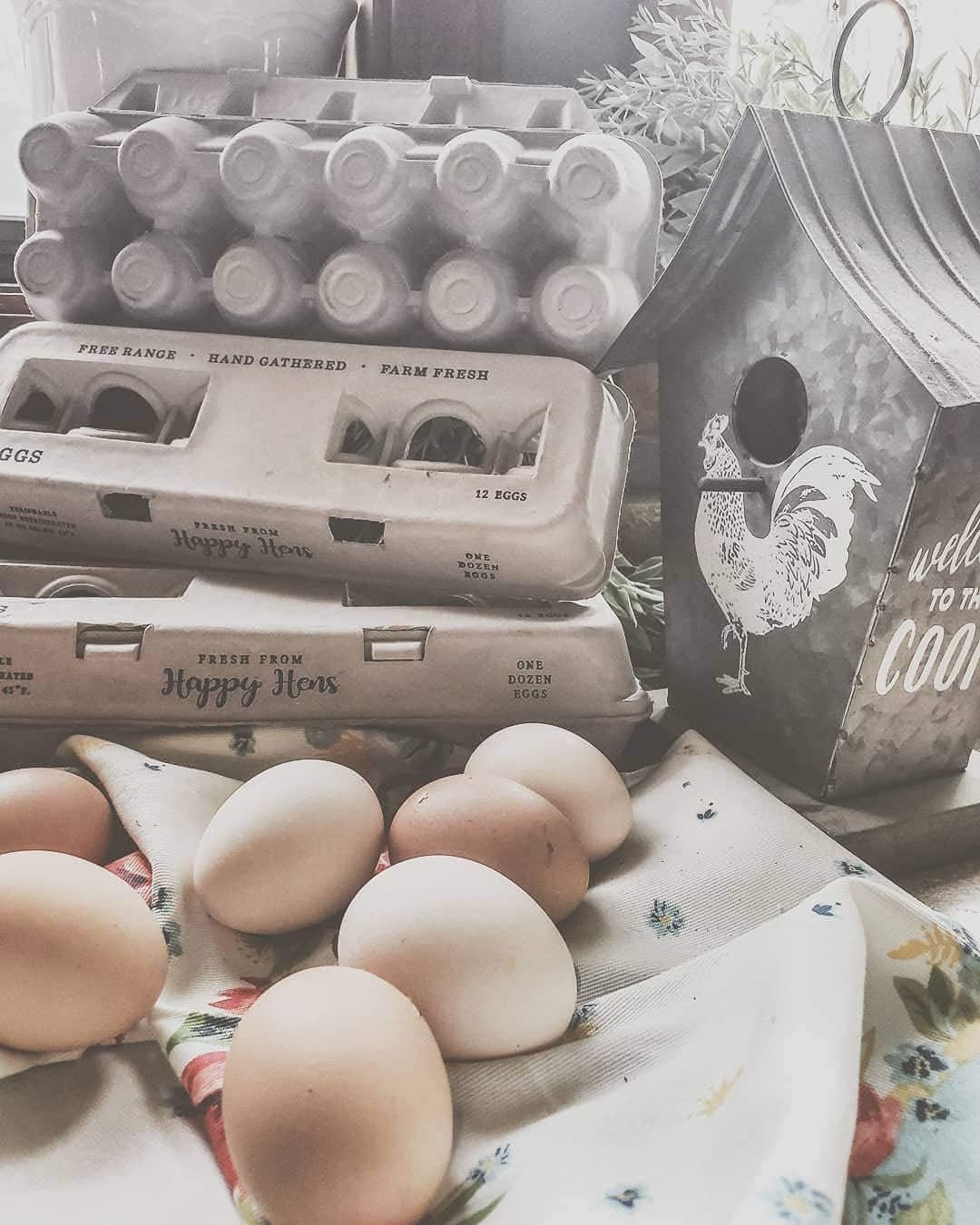 Egg Cartons- Adorable Printed Design for Farm Fresh Eggs, Recycled Paper Cardboard, Sturdy & Reusable, Holds up to XL Chicken Eggs (Blank Stamping, 250)