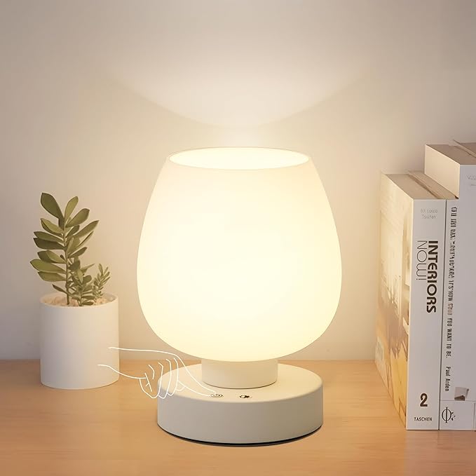 Small Table Lamp Cordless Nightstand Lamp - Rechargeable Modern Bedside Lamp with White Glass Shade, Stepless Dimmable & 8 RGB Colors & Memory, Battery Touch Lamp for Nursery Bedroom Nightstand