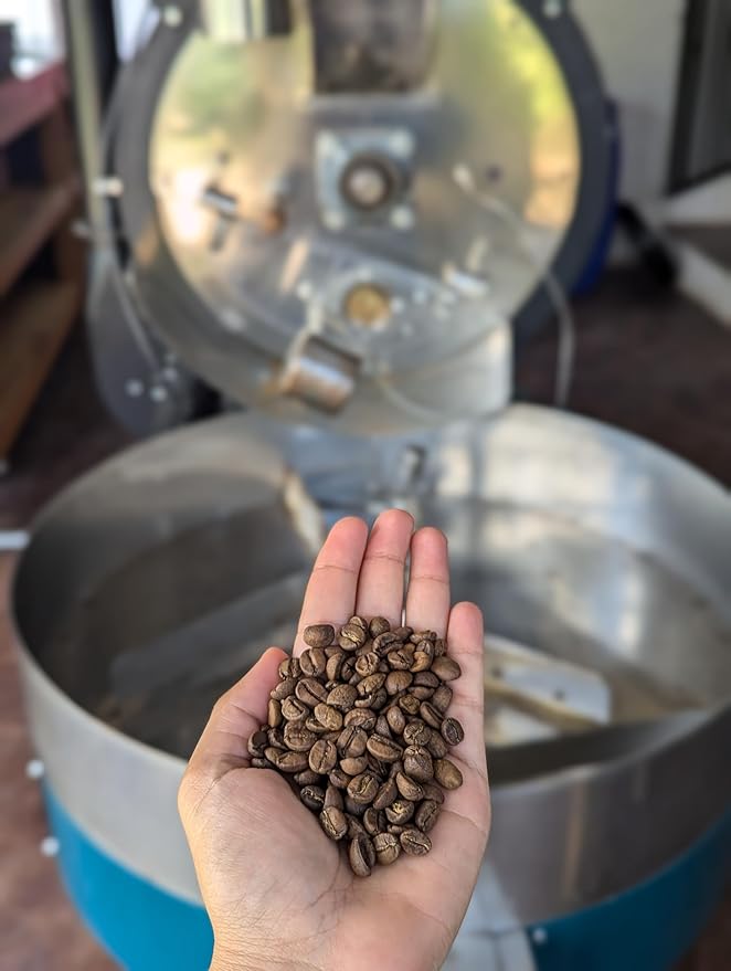 Lazarus Ground Coffee – 12oz Bag – Specialty Grade Arabica – Fermented Washed Process – Smooth Citrus & Chocolate Notes – Nitrogen-Flushed for Freshness
