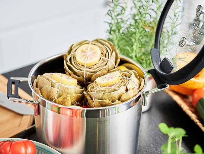 Rosle 91963 Silence Pro Stainless Steel High Casserole Cooking Pot with Insulated Handles & Lid 24 cm / 9.5 in, Silver