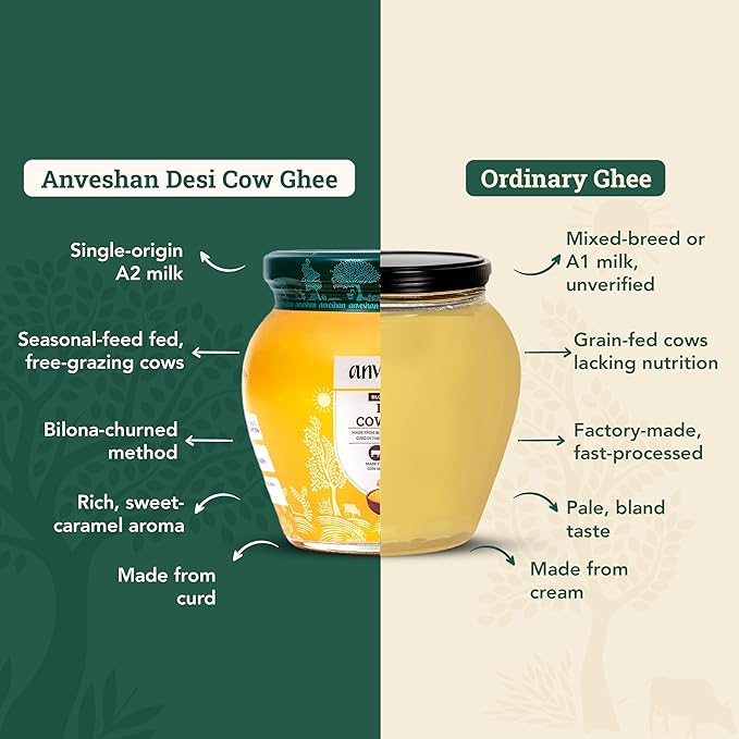 Anveshan Cow Ghee | Traditionally Bilona-Churned |Gut friendly |Keto friendly |High smoke point | Sustainably sourced | Casein free| Clarified Butter | 16.8 Fl. Oz (500mL)