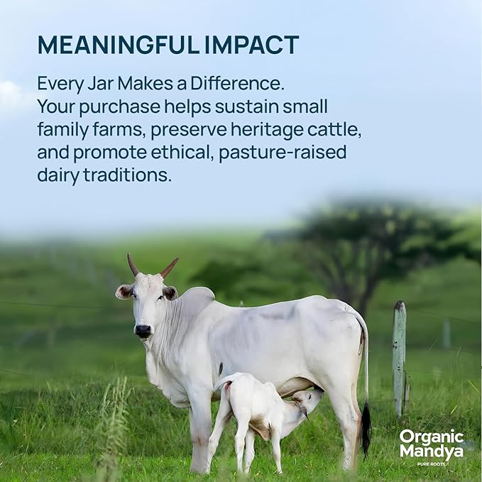 Organic Mandya Grass Fed Ghee A2 Butter, Pasture Raised, Lactose Free, Stress-Free Cattle, Ethically Sourced | Fermented A2 Ghee (16 oz / 475 ml)