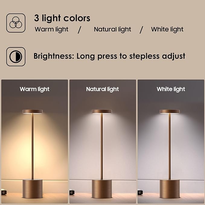 Cordless Table Lamp, 3-Levels Light Stepless Dimming Brightness Rechargeable 6000 mAh Battery Cordless LED 13.5 inches Lamps Top Slim Luxury Dinner Lamp (2X Brushed Titanium)