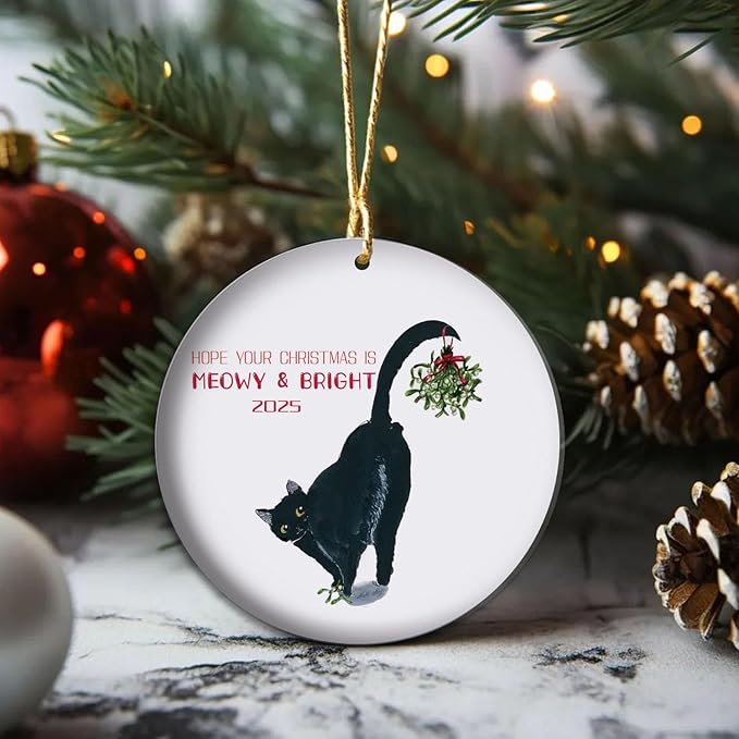 Black Cat Christmas Ornament 2025, Black Cat Memorial Gift, Christmas Holiday Tree Decoration