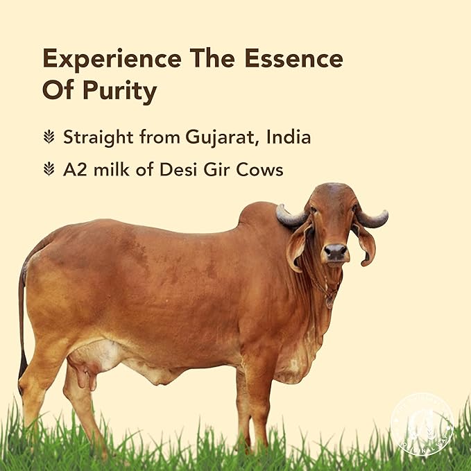 Anveshan A2 Gir Cow Ghee 500ML | Grass-Fed | Pasture-Raised | Gut Friendly | Keto Friendly | High Smoke Point | Sustainably Sourced | Casein Free | Clarified Butter