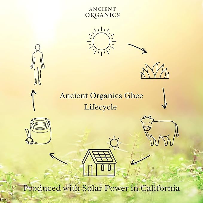 Ancient Organics Ghee - Organic Grass Fed Ghee Butter, Gluten Free, Clarified Butter, Vitamins & Omegas, Lactose Reduced, Kosher, USDA Certified - 28 Oz (Pack of 3)