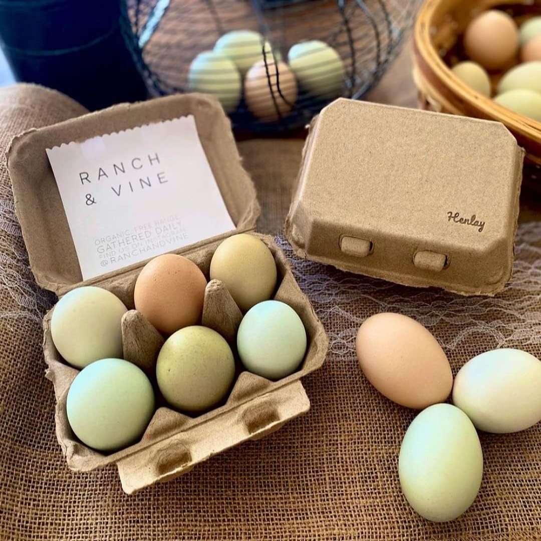 Half Dozen Blank Egg Cartons – 6-Pack Flat Top Half-Dozen Holder, Recyclable Pulp, Ideal for Farm-Fresh Eggs, DIY Custom Labeling, Eco-Friendly Storage - 20 Pack