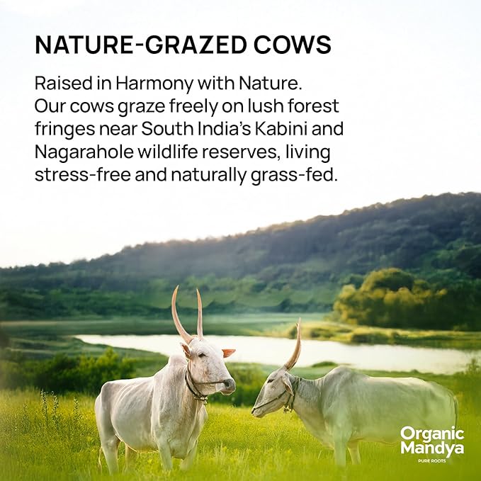 Organic Mandya Grass Fed Ghee A2 Butter, Pasture Raised, Lactose Free, Stress-Free Cattle, Ethically Sourced | Fermented A2 Ghee (9.3 oz / 275 ml)