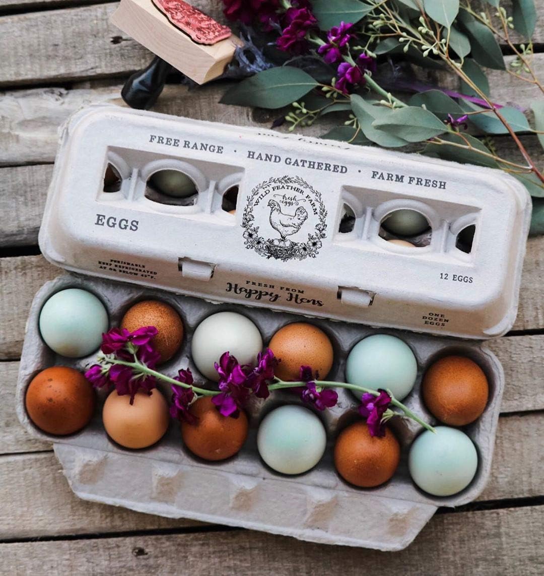 Egg Cartons- Adorable Printed Design for Farm Fresh Eggs, Recycled Paper Cardboard, Sturdy & Reusable, Holds up to XL Chicken Eggs (Blank Stamping, 25)