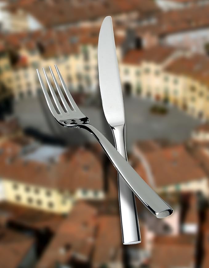 Fortessa Lucca 18/10 Stainless Steel Flatware Solid Handle Table Knife, Set of 12, Silver