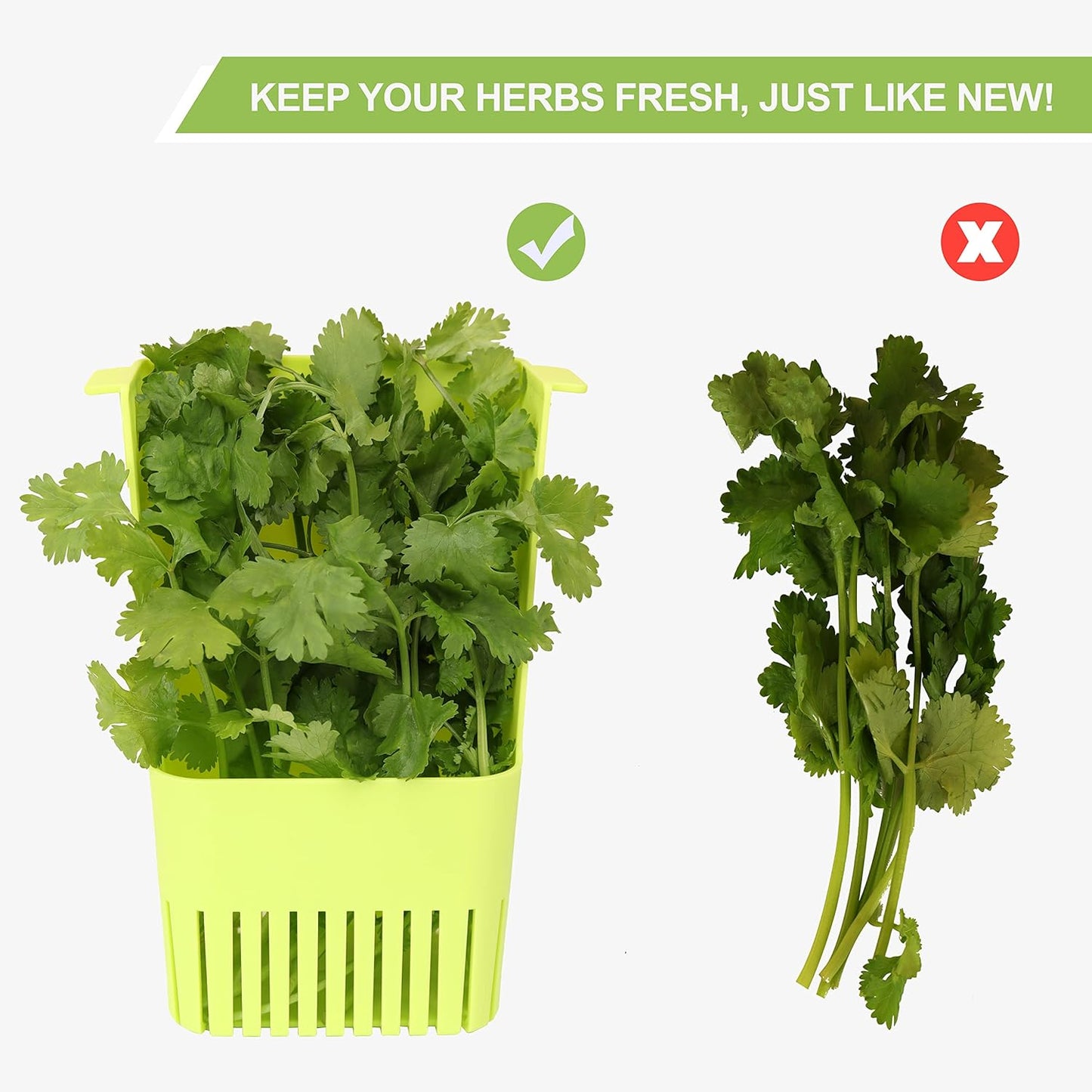 Herb Keeper, BPA-Free Plastic Herb Saver with an Inner Basket for Cilantro, Mint, Parsley, and Asparagus, Keeps Fresh Herbs for 3 Times Longer,1Pcs, Green