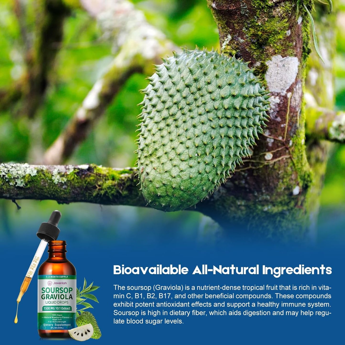 2 Pack Soursop Graviola Leaf Extract Liquid Drops Supplement with Irish Sea Moss & Turmeric for Cellular Support, Immune System Boost, Liver Health, Soursop Bitters Liquid 60-Day Supply 4 FL OZ