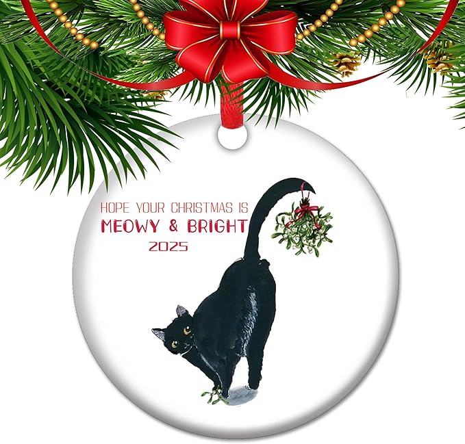 Black Cat Christmas Ornament 2025, Black Cat Memorial Gift, Christmas Holiday Tree Decoration